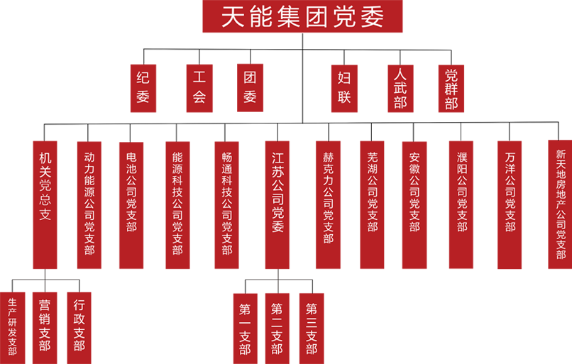 TVT体育建团党委组织架构